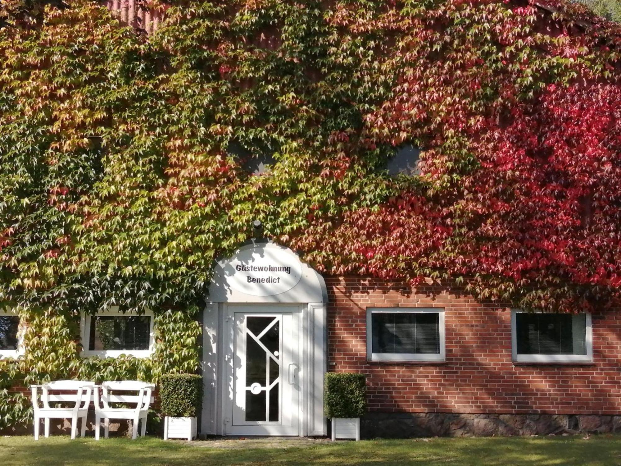 Ferienwohnung Benedict Klein Rheide Exterior photo